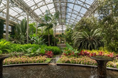 Büyük bir konservatuarın içi yemyeşil bir tropikal bahçeyle doludur. Sahnede fıskiyeler, yansıtıcı bir havuz ve yüksek cam tavanın altında çeşitli bitkiler yer alıyor..