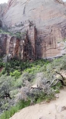 Utah, Zion Ulusal Parkı 'ndaki Zümrüt Havuz Patikası' nda kumlu bir patikadan alınan dikey görüntüler. Devasa kırmızı ve beyaz kumtaşı kayalıkları, yeşil ağaçlar ve gökyüzünün altındaki nehir vadisini ortaya çıkarır..