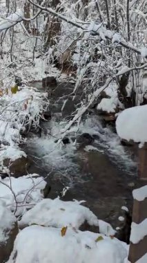 Dikey video, Utah 'taki Millcreek Kanyonu' nda karla kaplı ahşap bir köprü boyunca ilerliyor. Dere aşağıdaki kayaların üzerinden hızlı akar. Kar örtüleri, ağaçlar ve kıyılar, bazı sonbahar yaprakları görünür..