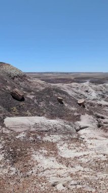 Bu dikey statik çekim, Arizona, Petrified Forest Ulusal Parkı 'nın renkli çöl manzarasında açık mavi gökyüzünün altında taşlaşmış ahşap kütükleri gösteriyor..