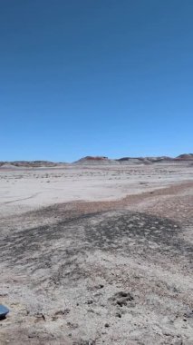 Bu dikey yavaş tava, Arizona 'daki Taşlaşmış Orman Ulusal Parkı' ndaki Boyalı Çöl 'ün geniş renkli manzarasını gözler önüne seriyor. Canlı çorak topraklar açık mavi bir gökyüzünün altında kurulmuştur..