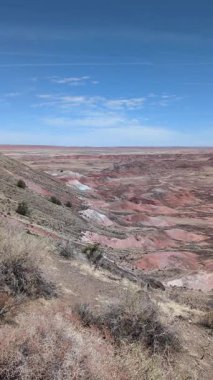 Bu dikey yavaş tava, Arizona 'daki Taşlaşmış Orman Ulusal Parkı' ndaki Boyalı Çöl 'ün geniş renkli manzarasını gözler önüne seriyor. Parlak kırmızı ve pembe tepeler parçalı bulutlu mavi bir gökyüzünün altında kurulmuştur..