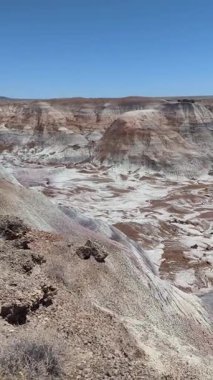 Bu dikey yavaş tava, Arizona 'daki Taşlaşmış Orman Ulusal Parkı' ndaki Boyalı Çöl 'ün geniş renkli manzarasını gözler önüne seriyor. Canlı çorak topraklar açık mavi bir gökyüzünün altında kurulmuştur..