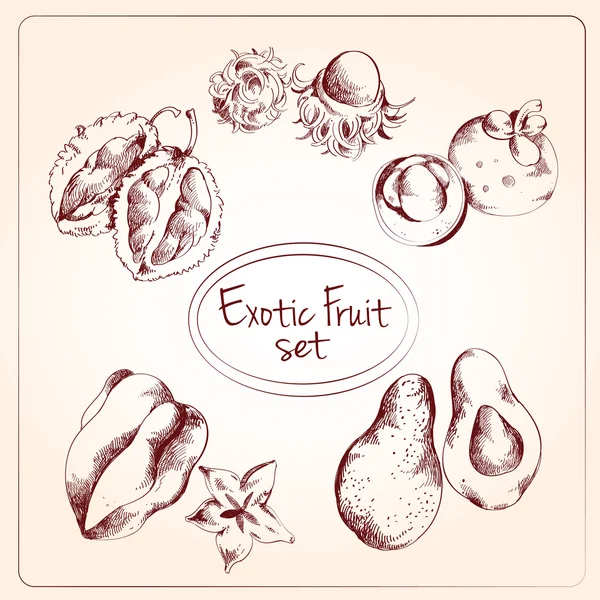 Exotische Frucht-Skizze — Stockvektor