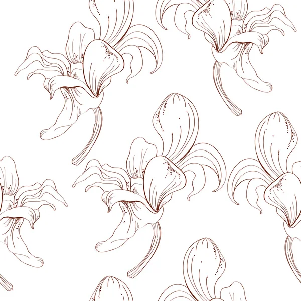 Grafiska blommönster med orkidéer — Stock vektor