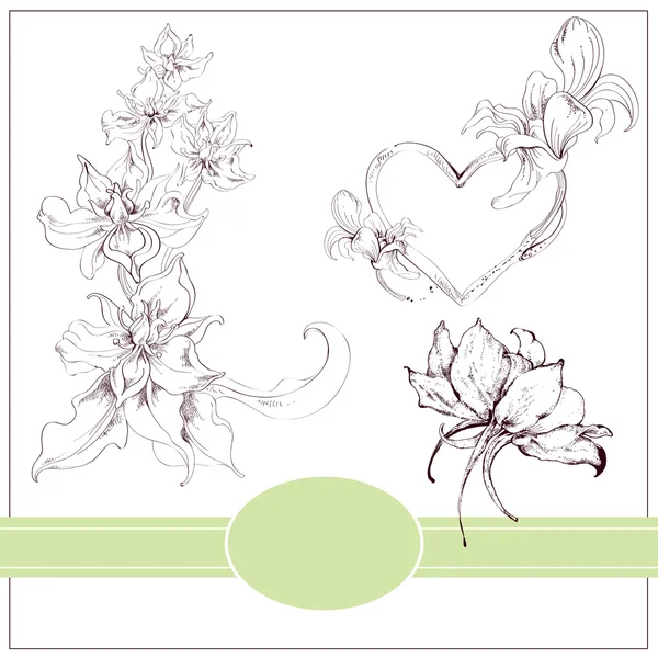 Set floral avec orchidées — Image vectorielle