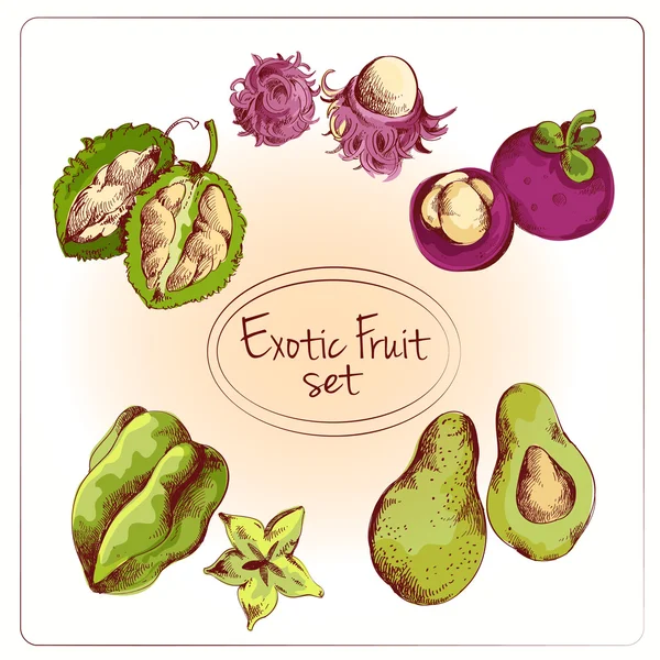 Juego de bocetos de frutas exóticas — Vector de stock