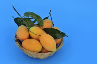 Gandaria, erik mangosu ya da yöresel olarak 