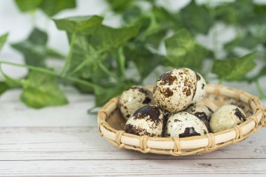 Rattan sepetinde birkaç bıldırcın yumurtası. Seçici odak noktaları. Bulanık arkaplan