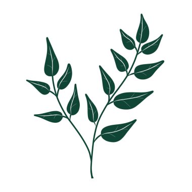 Yeşil yapraklı bir ağacın dalını çizdim