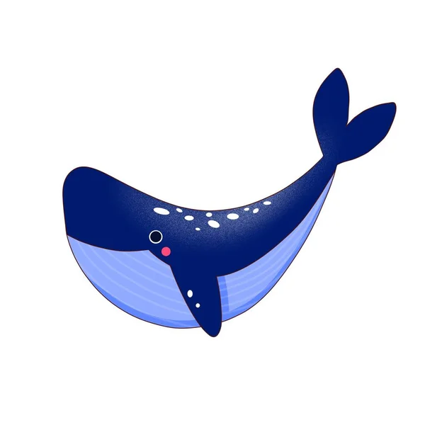 Cute good whale with spots on the back, drawn in the style of cartoon.
