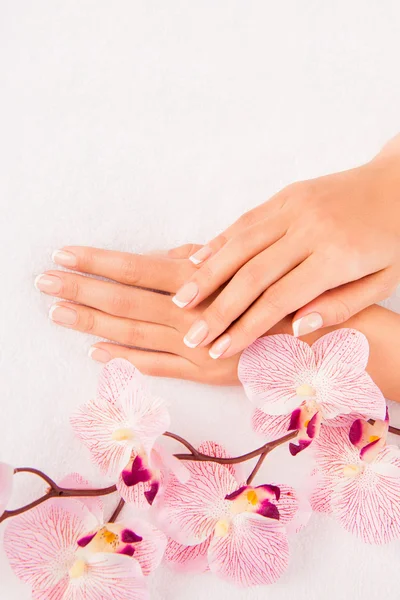 Close up foto da mão da mulher com manicure e flor de orchi — Fotografia de Stock