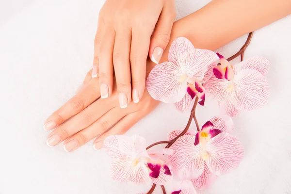 Close up foto da mão da mulher com manicure e flor de orchi — Fotografia de Stock