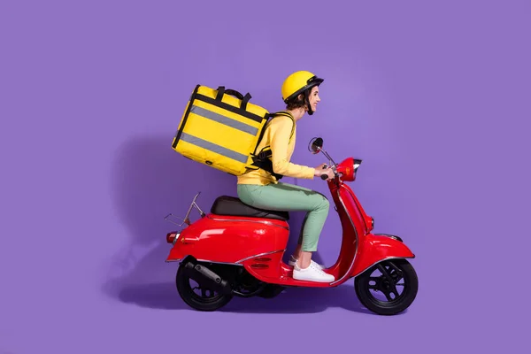 Profile side view of her she nice attractive cheerful girl riding bike delivering shop cafe order fast speed express isolated over bright vivid shine vibrant lilac violet purple color background