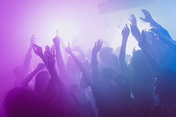 Foto di grande azienda molte persone divertenti alzare le braccia pista da ballo al neon rosa brillante faretto moderno club al chiuso — Foto Stock