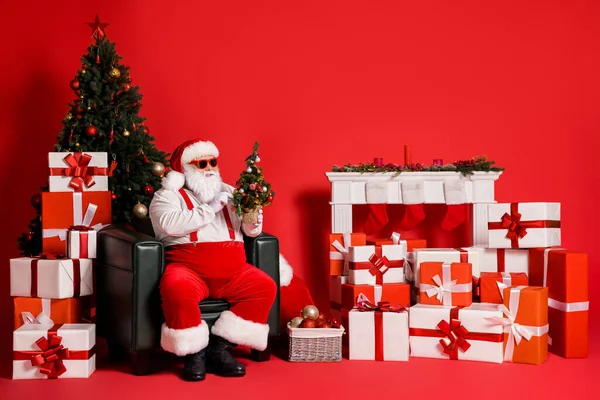 Portret van zijn hij aantrekkelijk vet overgewicht vrolijke Santa vader zitten in fauteuil vasthouden in handen kleine kleine dennenboom decor woonkamer geïsoleerd helder levendig glans levendige rode kleur achtergrond — Stockfoto