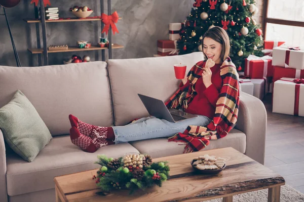 Photo of pretty lady siedzieć sofa trzymać netbook jeść ciasteczka pić herbaty nosić koc czerwony sweter skarpetki dżinsy w urządzone x-mas pokój dzienny w pomieszczeniach — Zdjęcie stockowe