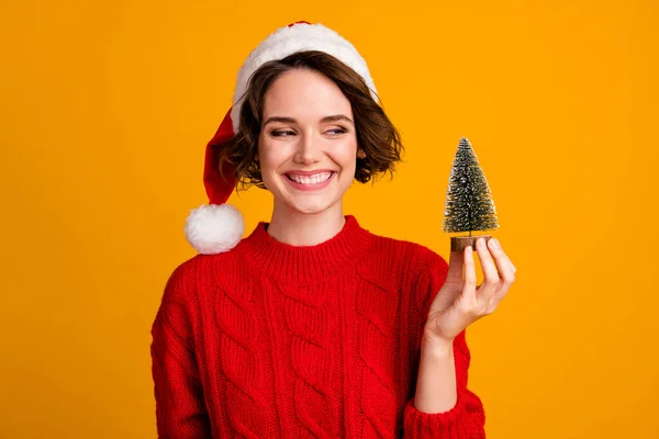 Photo of cheerful funny lady celebrate winter holidays hold little decor fir tree christmas concept buy souvenir fairy land market wear santa cap red sweater isolated yellow color background — Stock Photo, Image