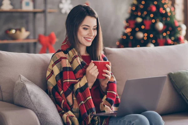 Genç kızın fotoğrafı kanepeye otur elinde netbook bardağı, ekoseli kırmızı kazaklı kotla dekore edilmiş x-mas oturma odasında, kapalı bir evde. — Stok fotoğraf