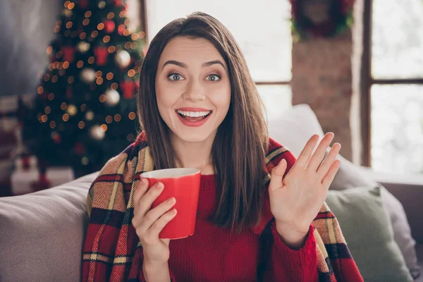 Фото чарівної смішної дівчини сидить диван тримайте кухоль махаючи рукою носіть плоский червоний пуловер в прикрашеній вітальні в приміщенні — стокове фото
