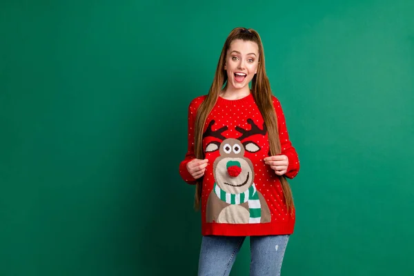 Portrait of her she nice-looking attractive pretty cheerful cheery long-haired girl demonstrating touching deer print sweater eve noel look outfit copy space isolated over green color background — Stock Photo, Image