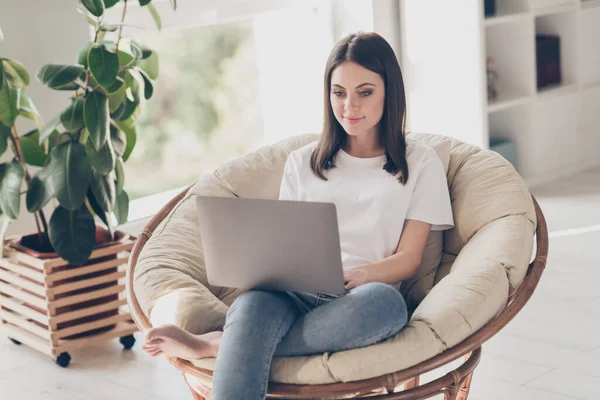 Foto de menina inteligente sentar poltrona de vime trabalho laptop desgaste branco t-shirt jeans jeans em casa dentro de casa — Fotografia de Stock