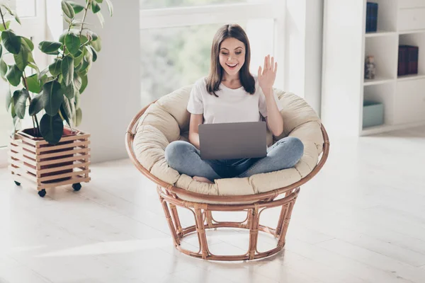 Full body photo of positive girl waving hand video call laptop sit wicker chair wear casual style clothes in house indoors — Stock fotografie