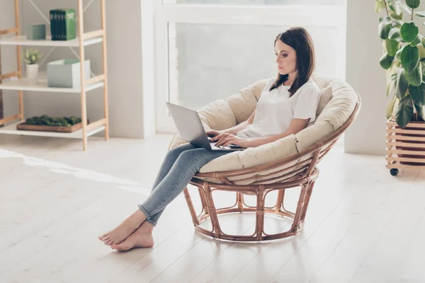 Foto de cuerpo completo de la señora enfocada sentarse trabajo silla de mimbre en portátil usar ropa de estilo casual en casa en interiores —  Fotos de Stock