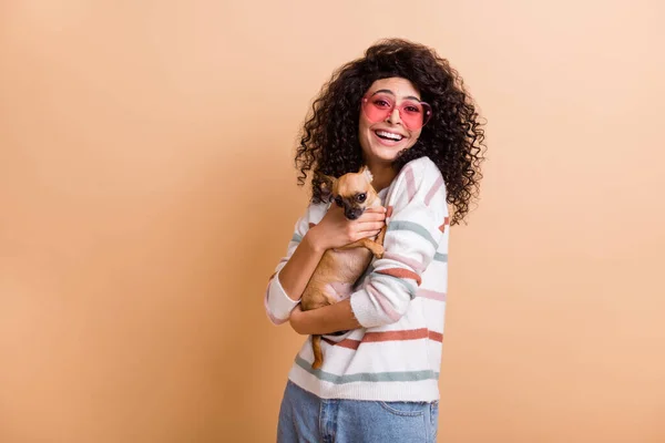 Фото молодої латинської дівчини щаслива позитивна посмішка тримає маленьких собачих рук обійняти друзів ізольовано на бежевому кольоровому фоні — стокове фото