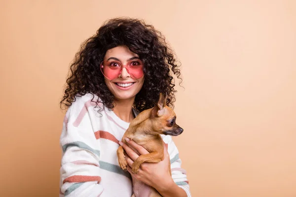 Photo of young attractive latin woman happy smile wear sunglass hold little friend dog isolated over beige color background