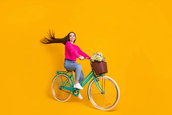 Foto de perfil de comprimento total de menina bonita passeio de bicicleta flores cesta vento golpe cabelo desgaste rosa camisola jeans isolado cor amarela fundo — Fotografia de Stock