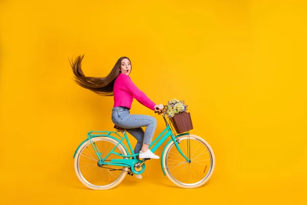 Tam boy profil fotoğrafı şirin kız bisiklet bisikleti çiçekleri sepeti heycanlı bak kamera pembe kazak kotu giyin sarı arka plan — Stok fotoğraf