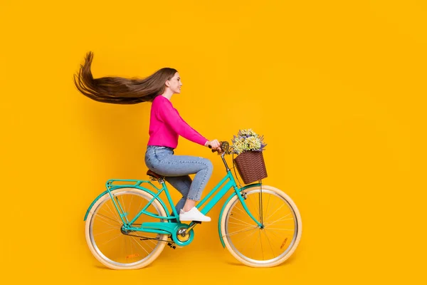 Foto de perfil de longitud completa de linda chica paseo bicicleta flores silvestres olla desgaste pantalones vaqueros suéter rosa aislado color amarillo fondo —  Fotos de Stock