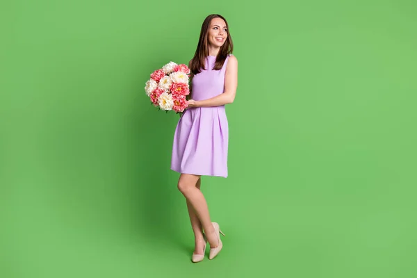 Longitud completa tamaño del cuerpo vista de ella ella agradable atractivo encantador delgada delgada alegre chica de ensueño sosteniendo en las manos ramo de flores frescas aislado color verde fondo — Foto de Stock