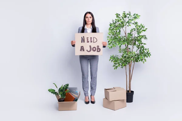 Full size photo of dismissed serious lady company crisis lost job hold carton placard ask job stand near stuff packs belongings fired ready move new office isolated grey color background — Stock fotografie
