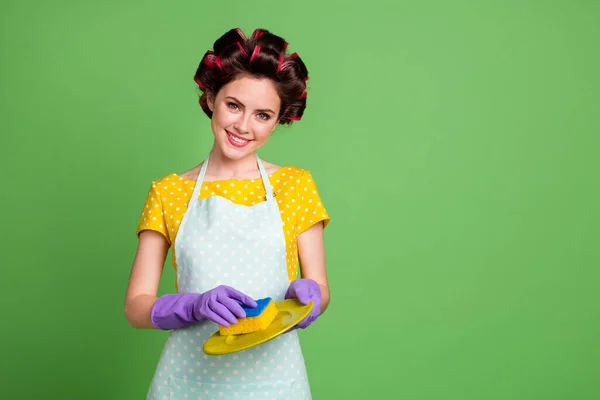 Photo positive wife retro vintage girl wash plates sponge have family gathering event use violet gloves wear yellow dotted dress hair rollers isolated green color background — Stock Photo, Image