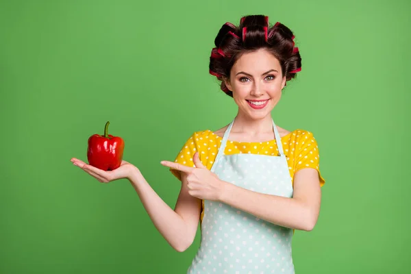 Photo of lovely pretty young girl roller hairstyle beaming smile direct finger hold paprika presenting fresh recommend choose wear dotted apron shirt isolated green color background — Stock Photo, Image