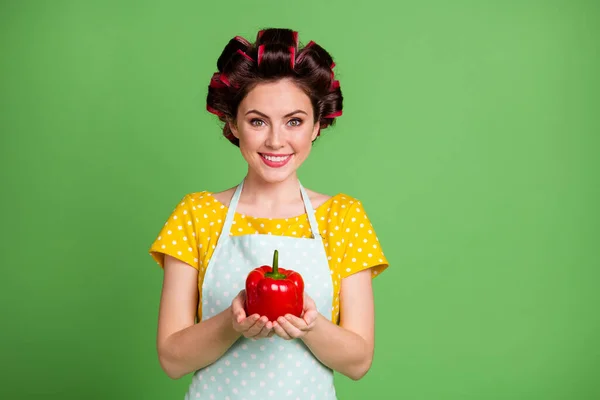 Photo of cute charming young girl roller hairstyle beaming smile hold paprika first fresh harvest showing presenting you wear dotted apron shirt isolated green color background — Stock Photo, Image