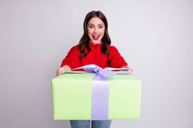 Photo portrait of happy surprised woman receiving girl for new year cheerful red sweater isolated on pastel grey color background clipart