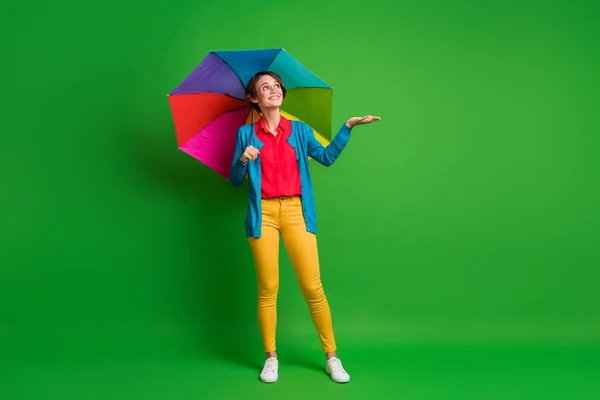 Ganzkörpergröße Foto von Mädchen in Brille Überprüfung Wetter Hand Regentropfen Regenschirm isoliert auf lebendigen grünen Farbhintergrund — Stockfoto