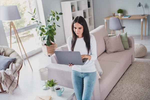 Foto van ernstige charmante aantrekkelijke vrouw werken op laptop in woonkamer typen binnen huis — Stockfoto