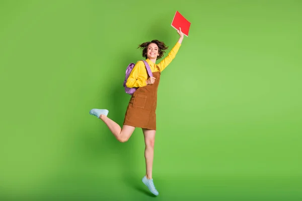 Teljes méretű profil fotó elég szép barna lány jumping hold tervező hátizsák viselni barna ruha cipő elszigetelt zöld háttér — Stock Fotó