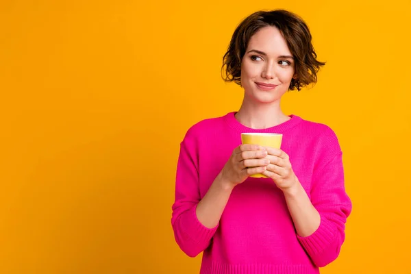 Фото чарівної леді виглядає copyspace тримайте лате кавову чашку носити пуловер ізольовано на блискучому кольоровому фоні — стокове фото