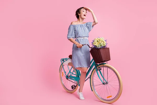 Foto retrato de menina gritando olhando em distância de pé em uma perna segurando bicicleta com buquê cesta frontal isolado no fundo de cor rosa pastel — Fotografia de Stock