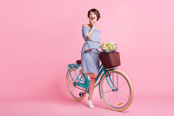 Foto retrato da menina excitada tocando o rosto com a mão de pé em uma perna segurando bicicleta com flores cesta dianteira isolada no fundo de cor rosa pastel — Fotografia de Stock