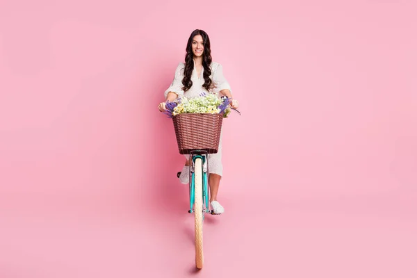 Tamanho total do corpo foto de estudante do sexo feminino em roupa branca na cesta de camomilas de bicicleta sorrindo alegre isolado pastel cor de fundo rosa — Fotografia de Stock