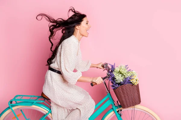 Foto retrato de mulher louca dirigindo bicicleta rápido apressando camomilas selvagens na cesta isolada no fundo cor-de-rosa pastel com copyspace — Fotografia de Stock