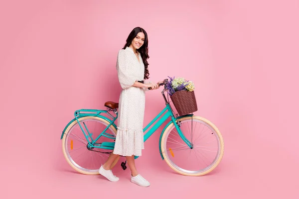 Volledige lengte body size foto van mooi meisje houden meisjesachtige fiets met wilde bloemen in mand geïsoleerd op pastel roze kleur achtergrond — Stockfoto