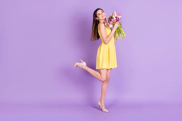 Full length body size profile side view of pretty chappy girl holding tulips posing isolated over violet μωβ παστέλ χρώμα φόντο — Φωτογραφία Αρχείου