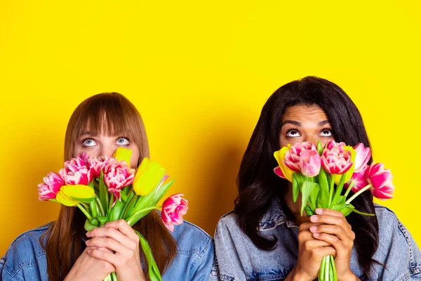 Portrait of two persons hands hold flowers close face lips look up empty space isolated on yellow color background